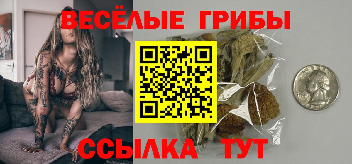 Сегежа  купить наркотики сайты  Галлюциногенные грибы GOLDEN TEACHER  Вход с VPN  Галлюциногенные грибы Psilocybine cubensis 