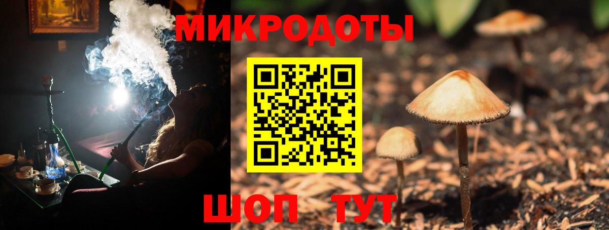 Псилоцибиновые грибы прущие грибы Сегежа